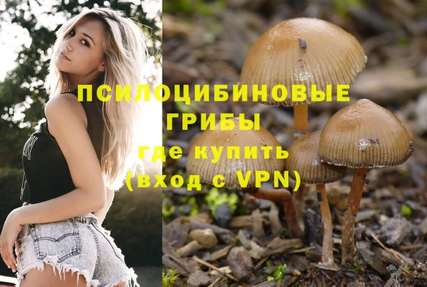 ALPHA PVP Гусь-Хрустальный