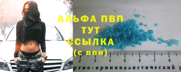 круглые Гусев