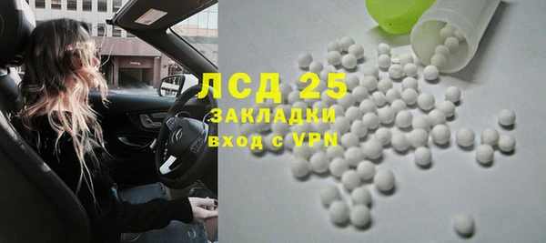 круглые Гусев