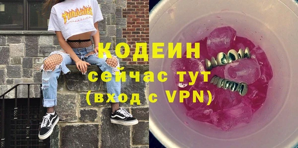 круглые Гусев