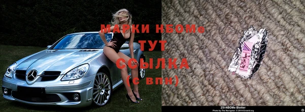 гидра Дмитров