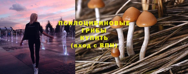 круглые Гусев